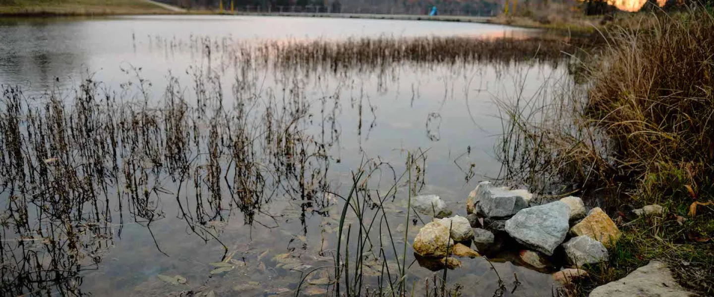 Sunnen Lake at sunset on YMCA Camp Lakewood's campus