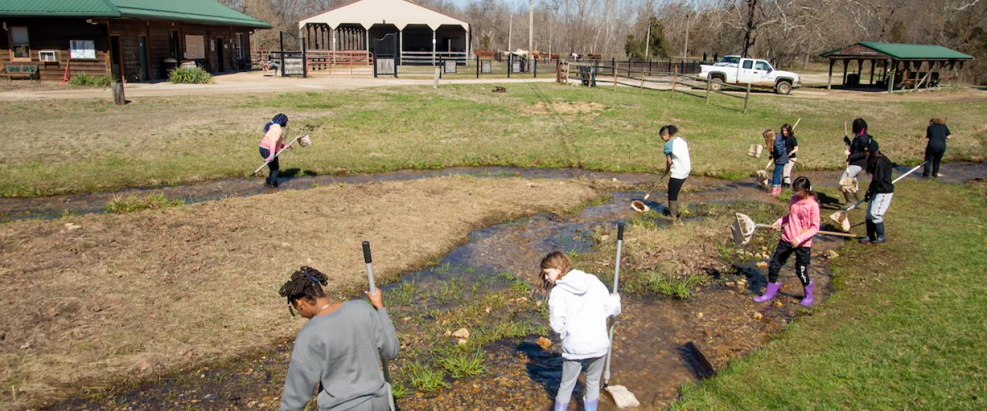 Children observing small creek animals in their hands or containers during aquatic ecology activity