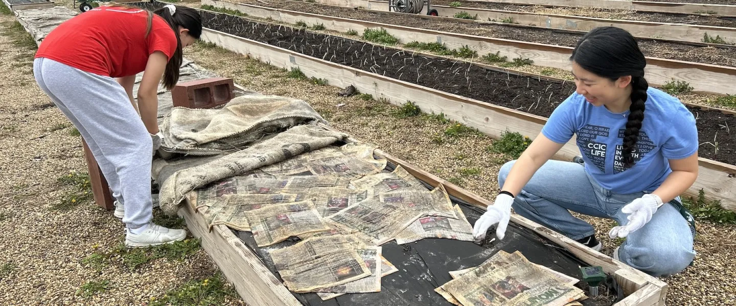 washu campus y diabetes prevention initiative volunteers planting a community garden